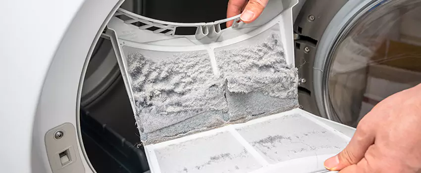 Best Dryer Lint Removal Company in Floral Park, New York